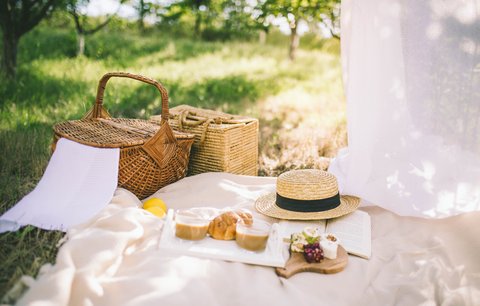 Letní piknik zdravě a chutně! Čím si naprosto získáte své přátele? 