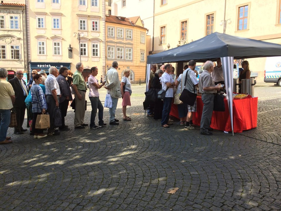 Lidé stáli frontu na piknik s primátorkou.