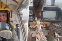 Obrovský kondor prorazil čelní sklo letadla: Pilot byl celý od krve!