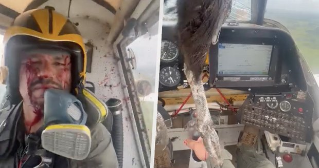Obrovský kondor prorazil čelní sklo letadla: Pilot byl celý od krve!