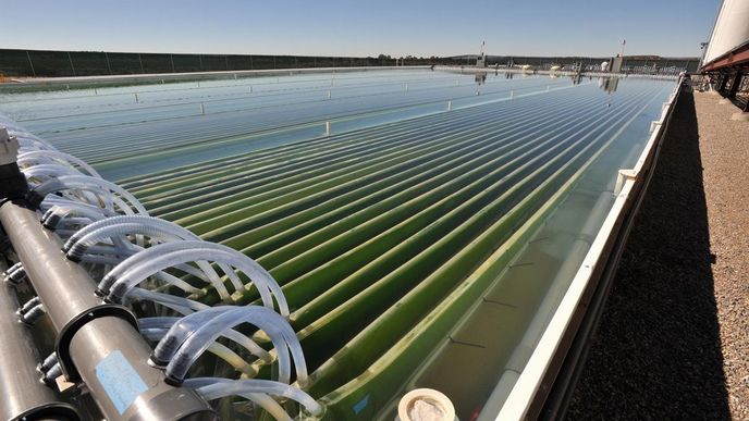 pilotní řasová "farma" společnosti Solix BioSystems v Coloradu