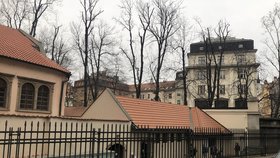 Pinkasova synagoga je jednou z nejhezčích budov bývalého Židovského města v Praze - Staré město. Uvnitř jsou na zdech napsána jména zavražděných Židů nacistickými zvířaty. V prvním patře čekají obrazy dětí z Terezína