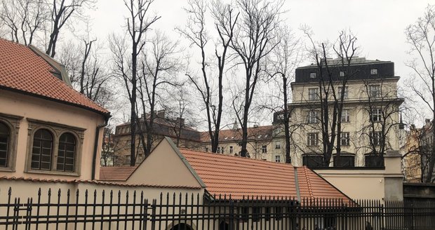 Pinkasova synagoga je jednou z nejhezčích budov bývalého Židovského města v Praze - Staré město. Uvnitř jsou na zdech napsána jména zavražděných Židů nacistickými zvířaty. V prvním patře čekají obrazy dětí z Terezína
