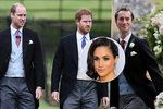 Proč princ Harry nevzal na svatbu Pippy Middleton svou přítelkyni Meghan Markle?