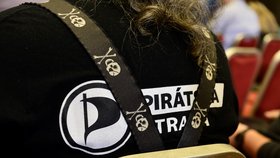 Pirátská strana