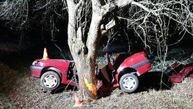 Řidič na Písecku nezvládl řízení, vyletěl ze silnice a narazil do stromu. Muž na místě zemřel