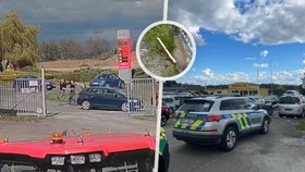 Agresor při divokém útoku napadl ženu dřevěnou tyčí