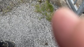 Dřevěná tyč, kterou muž útočil