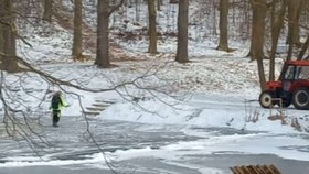 Aby nemohli lidé bruslit na rybníku v zámeckém parku v Třešti, posypal zaměstnanec led pískem.