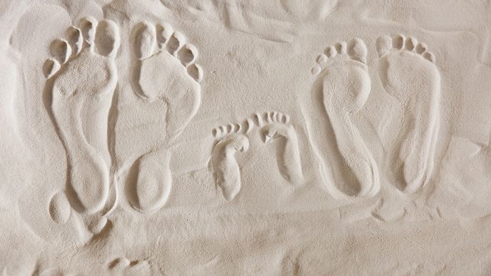 Oidipovský komplex Oidipovský komplex