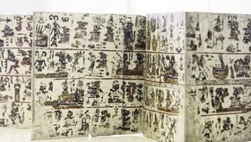Piktogramy kodexu zachycují život mexických královských rodů Mixtéků