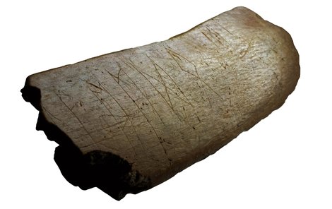 Archeologové našli runy na zvířecím žebru