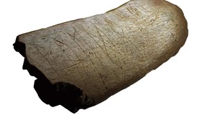 Runy byly nejstarší písmo Slovanů: Nález vědců přepisuje historii