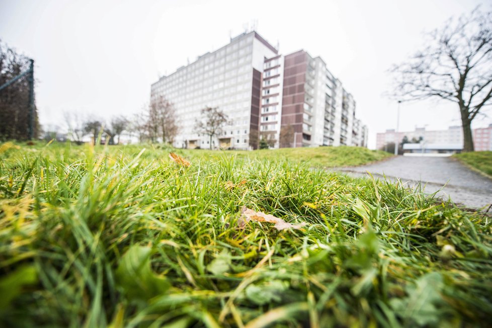 ČEZ vyhlásí vítěze veřejné soutěže na koupi bytů v únoru. Radnice městské části Praha-Libuš ještě může zasáhnout.