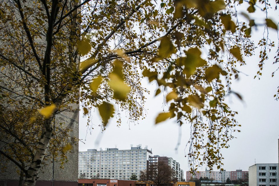 ČEZ vyhlásí vítěze veřejné soutěže na koupi bytů v únoru. Radnice městské části Praha-Libuš ještě může zasáhnout.