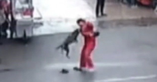 Agresivní pitbull bezdůvodně napadal kolemjdoucí.