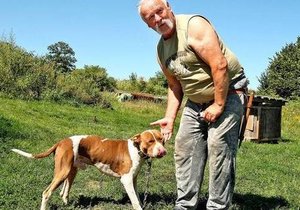 Majitel psů Tibor Veščičík (70) popírá, že by jeho psi byli agresivní.