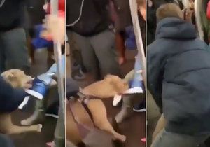Sundej ze mě toho pos**nýho psa! Pitbul se zakousl ženě v metru do nohy a nechtěl ji pustit.