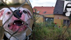 Stanislavu N. zabili její dva psi. V tomto zchátralém domku žena zemřela.