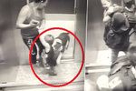 Děsivé záběry: Chlapce (18 měs.) ve výtahu napadl rozzuřený pitbull! Zvíře se dítěti zakouslo do nohy