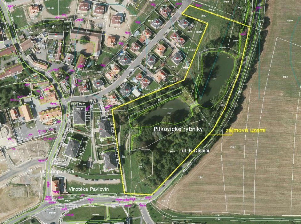 Území v Pitkovicích, kde nový park vznikne.