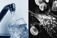 Rakovina z pitné vody? Zjištění vědců kontroval Brusel rázným vzkazem a zmínil normy
