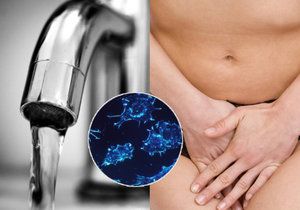 Úrovně THM v pitné vodě v Evropě mohou přispívat k rakovině močového měchýře.