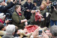 Zvrhlá show dánské zoo: Před zraky dětí rozpitvali lvici!