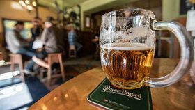 Pití piva v Česku (ilustrační foto)
