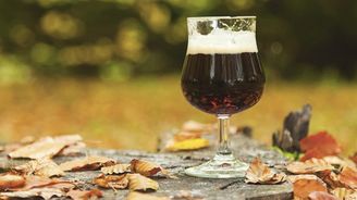 Belgické pivovary vtipně bojují proti zlodějům unikátních pivních sklenic. Pijanům při vstupu seberou botu  