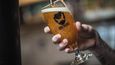 Pivovar Brewdog a jeho produkty