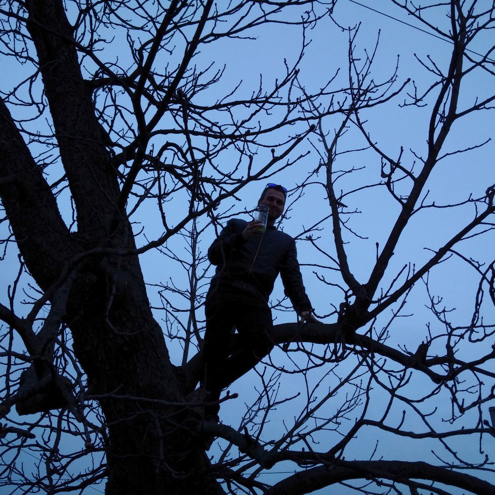 Ondřej Seibert vylezl na strom a popíjel pivo ve výšce.