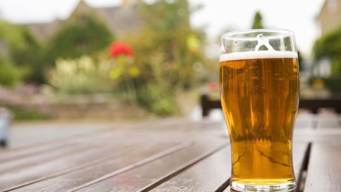 Pivo Pivo