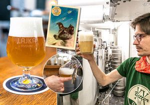 Jan Kotecký stojí coby sládek v čele pivovaru Lajka, který vznikl na Letné v roce 2019. Svými pivy vzdává hold zvířatům, která se nedobrovolně podívala do vesmíru, ve jménu pokroku a vědy.