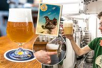 Strelka, Bělka, Albina: Sládek Jan (39) pojmenoval svá piva po psech, kteří letěli do vesmíru