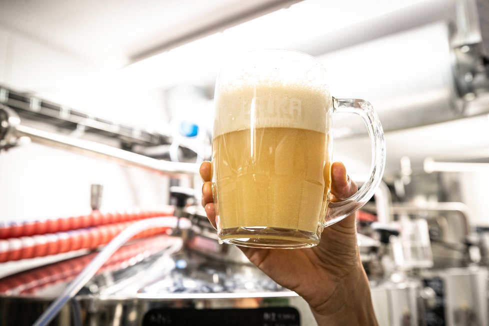 Takhle vypadá pivo čerstvě stočené ze spilky. Skoro jako cappuccino. Není divu, že se pivovar nachází ve sklepních prostorách kavárny.