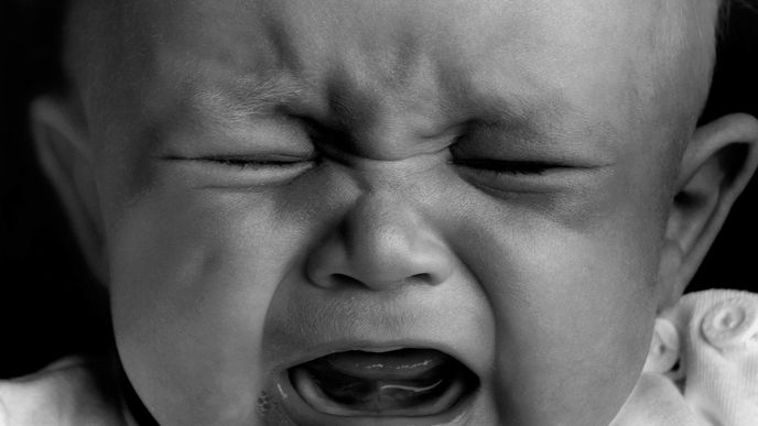 Experiment Little Albert: Pokus, který šokuje i po letech. Experiment Little Albert: Pokus, který šokuje i po letech.