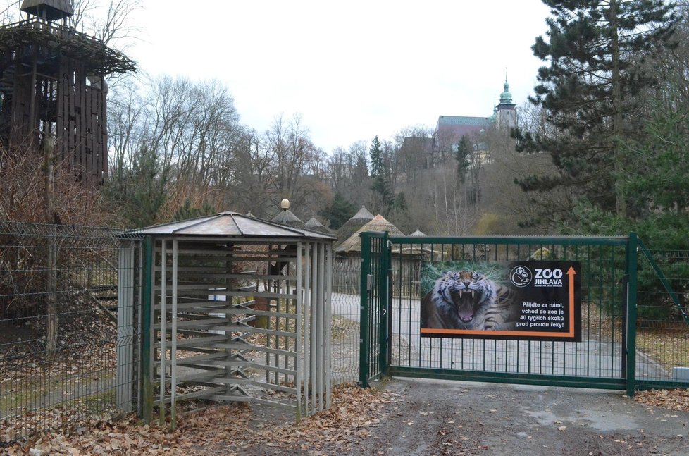 Zoologické zahrady v Česku odhadují, že ztráty kvůli koronaviru budou v jednotkách až deset milionů korun (ilustrační foto)
