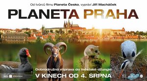 Planeta Praha: Město lidí i zvířat