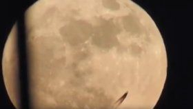 Video zachytilo podivný objekt před Měsícem.