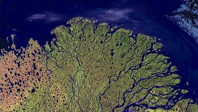 SRPEN 2002: SIBIŘSKÁ DELTA - Ruská řeka Lena je jedním z nejdelších světových veletoků. Pramení nedaleko Bajkalského jezera a na Sibiři je živnou půdou pro mnoho druhů živočichů. Družice Landsat 7 zachytila místo, kde se vlévá do moře.