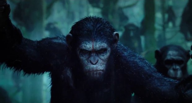 Vyhodnocení soutěže o ceny k filmu Úsvit planety opic