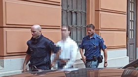 Mladistvý hoch z jižní Moravy předstoupil před Krajský soud v Brně. Ten mu prodloužil pobyt ve vazbě.