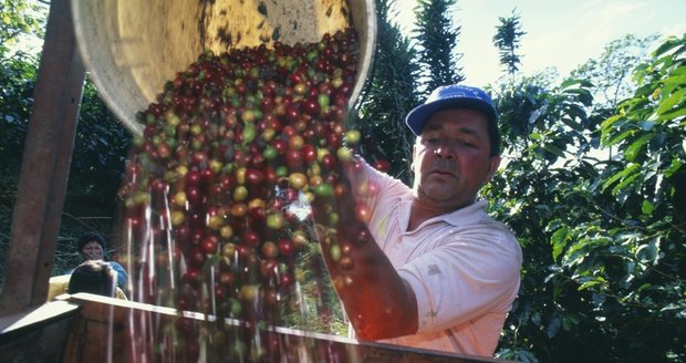 Produkty s označením fair trade pokryjí výrobcům v rozvojových zemích  nejen náklady na výrobu například kávy, ale i základní životní potřeby