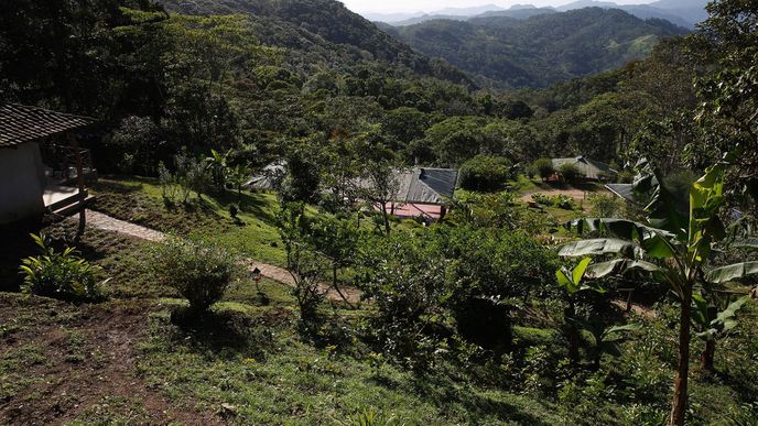 Plantáže, Nikaragua (ilustrační foto)