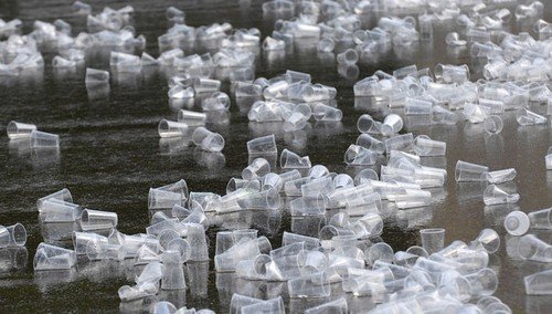 Mělník na kulturních akcích pořádaných ve městě testuje vratné plastové kelímky. Chce tak snížit množství odpadu, který po nich zůstává