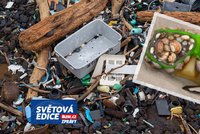 Plastisféra: V mořích se na plovoucím plastovém odpadu vyvinul nový ekosystém