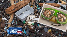 Plastisféra: V mořích se na plovoucím plastovém odpadu vyvinul nový ekosystém