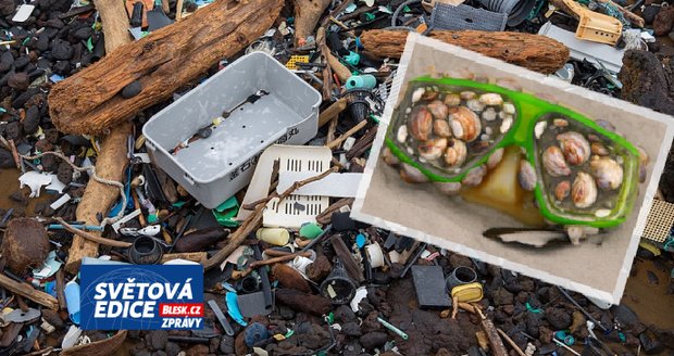 Plastisféra: V mořích se na plovoucím plastovém odpadu vyvinul nový ekosystém