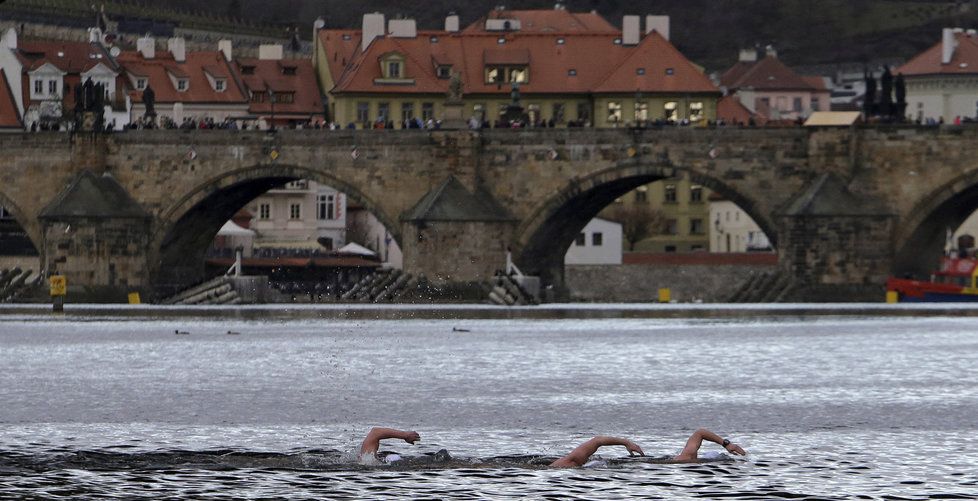 V Praze plavaly ve Vltavě na Štěpána stovky lidí.